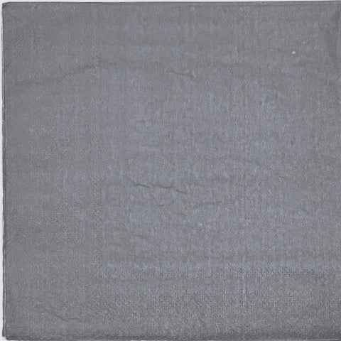 Napkins 24ct - Silver