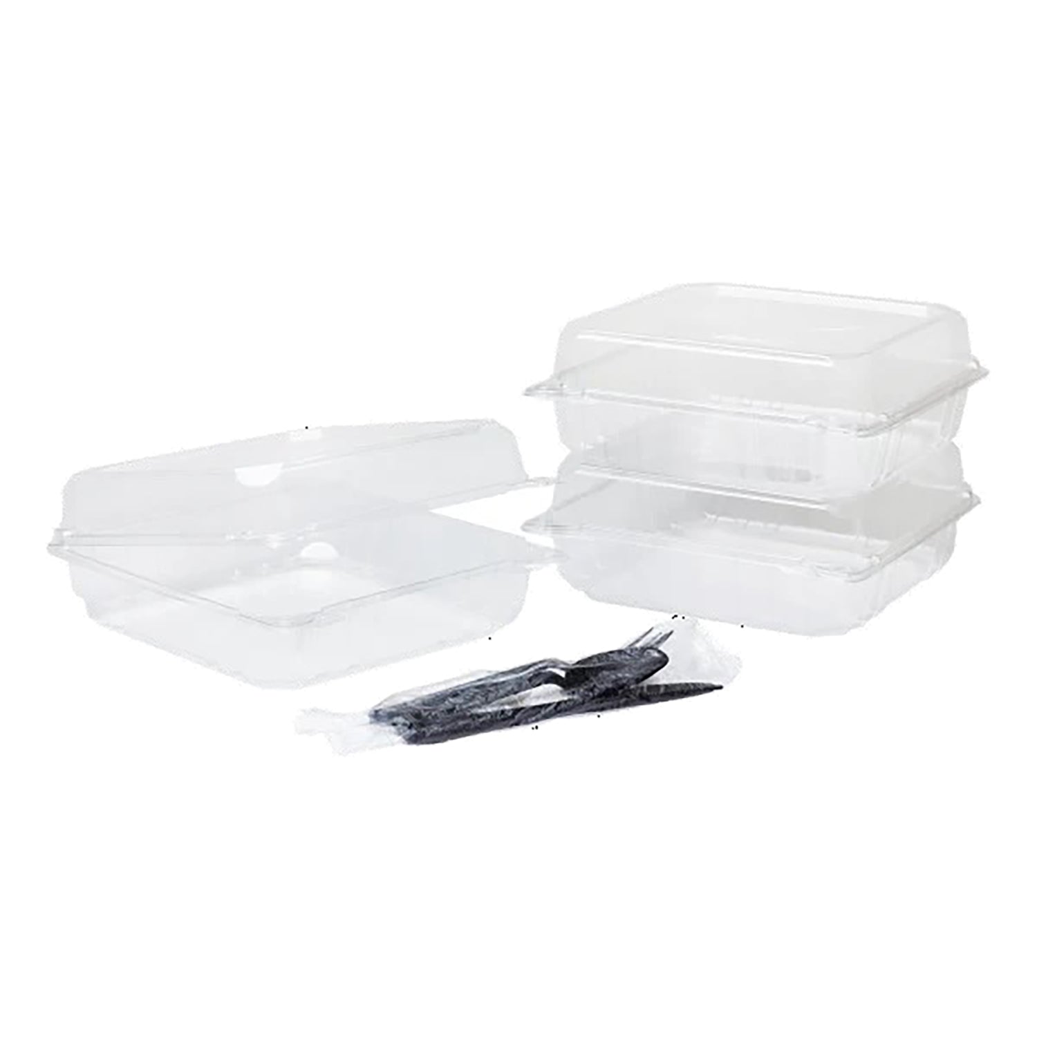 Container PET Hinged (9