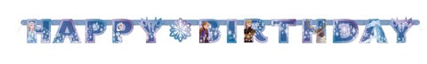 Joint Banner Large - Frozen 2