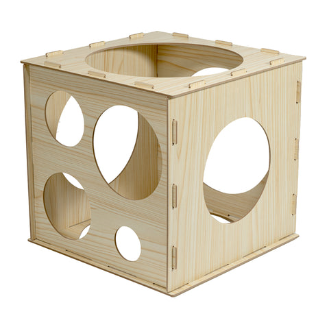 Balloon Sizer Cube 1ct | Bag