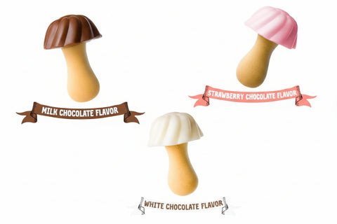 Choco Mushroom Milk Chocolate 5.29oz Box