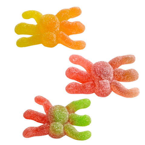 Vidal Gummy Hairy Spider 4.4Lb